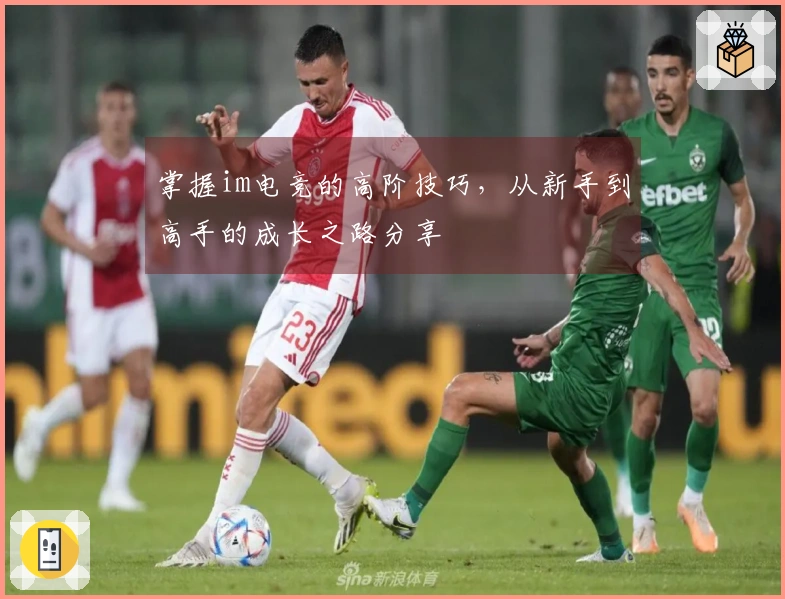 掌握im电竞的高阶技巧，从新手到高手的成长之路分享