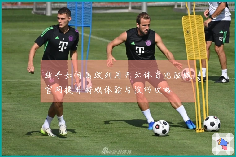 新手如何高效利用开云体育电脑版官网提升游戏体验与技巧攻略
