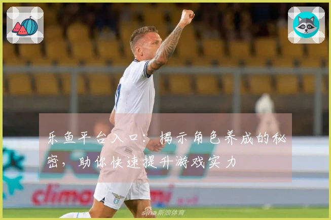 乐鱼平台入口：揭示角色养成的秘密，助你快速提升游戏实力